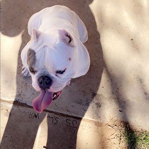 Meet your Posher, Jonathan